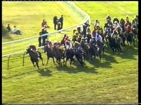 2003 Tote Cesarewitch Handicap