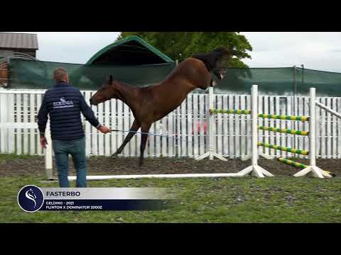 Falsterlbo Newcastle