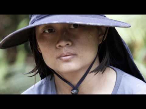 Borneo Safari 2016 - Best Moment