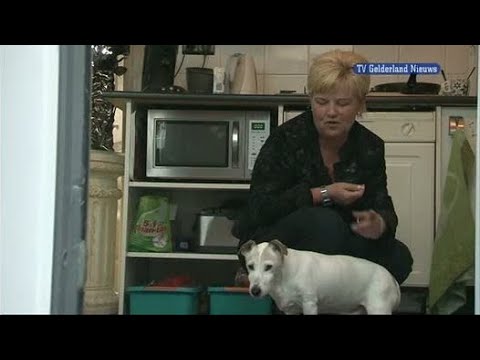 GLD Nieuws 29 maart 2012 - Nieuws