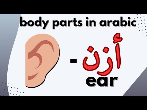 Body parts in arabic