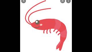 K- shrimp のライブ配信