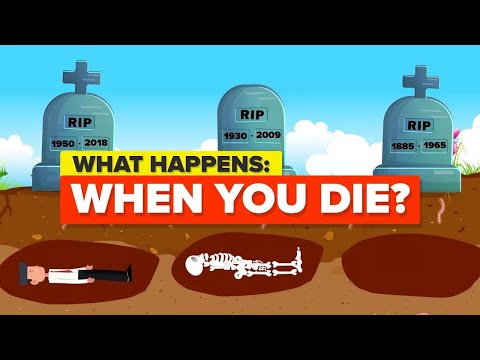 What Happens When You Die? And More Death Facts And Explanations (Compilation)