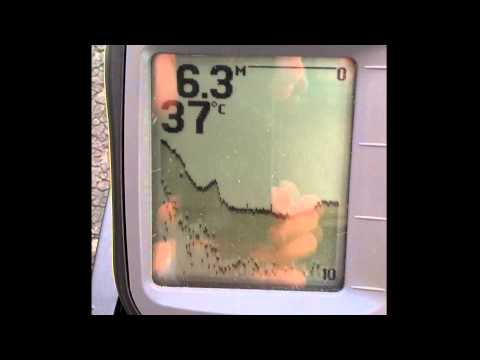 skarp s60 mit smartcast rf 15e