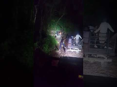 la vida del campesino en el municipio de Villanueva guajira