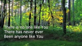 No One Like You- David Crowder HD