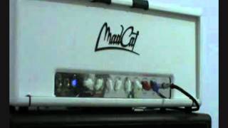 MADCAT GT-500 AMP MADE IN ITALY (MARSHALL PLEXI '68)
