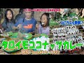 タロイモのココナッツカレー【taro coconuts curry】ねこと食べる