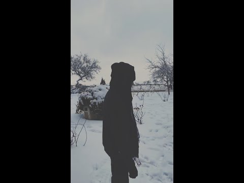 Robuz - Boomerang (บูมเมอแรง)(Prod. Mxzri x wavy808 x Ben Heet)