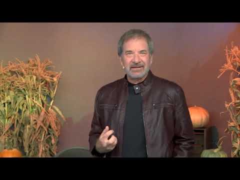 13-1 Adamus - Merlin I Am Series 1 - October, 2020