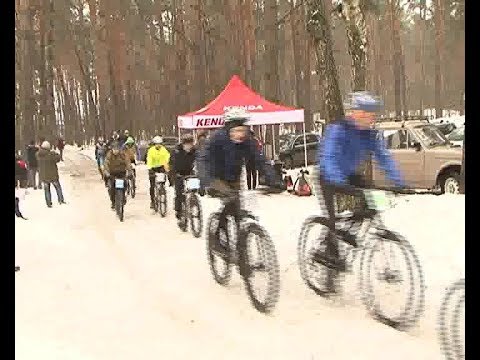 Курские велоспортсмены вышли на гонку