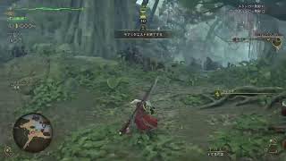 モンスターハンターワイルズ　初心者