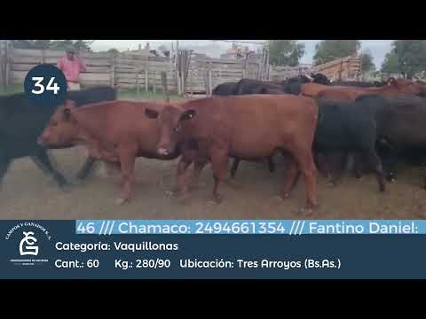 Lote vq Inv - Tres Arroyos Bs As