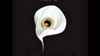 Kings Of Leon Bucket