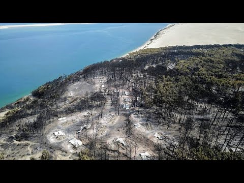 Trockenrekord in Frankreich - mehrere Waldbrände aktiv