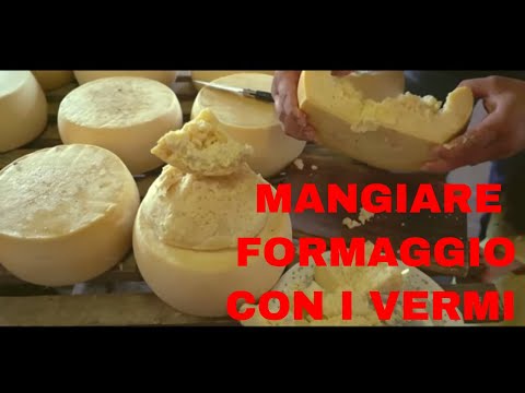 Samuel Assaggia il formaggio coi vermi - Casu Marzu sardo - Samuel Piva