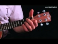 Видео урок: как играть песню Я Свободен - Ария на укулеле (гавайская гитара) 