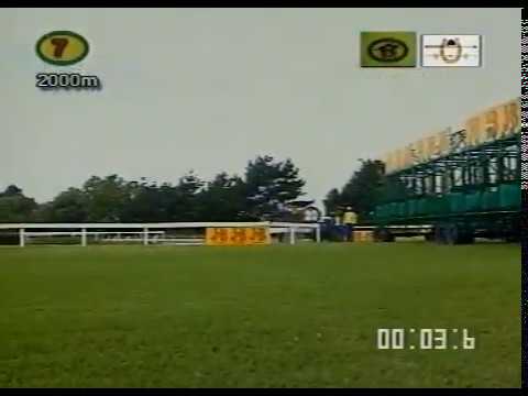 Horse Chestnut 1999 J&B Met