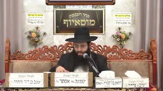 עִניינֵי דיומָא   מעלתם של ימי אדר   ארבעת הפרשיות פרשת , משפטים תשפ ו (בית הכנסת מוסאיוף) - התמונה מוצגת ישירות מתוך אתר האינטרנט יוטיוב. זכויות היוצרים בתמונה שייכות ליוצרה. קישור קרדיט למקור התוכן נמצא בתוך דף הסרטון