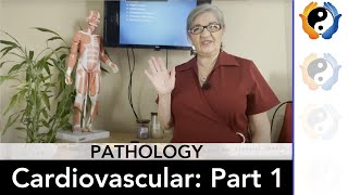 Cardiovascular Pathologies Part 1