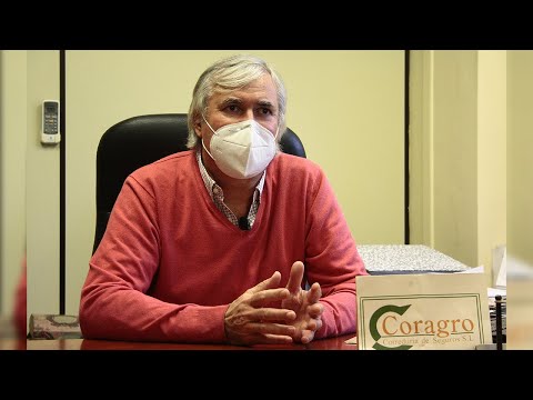 Coragro, pequeña correduría de seguros aliada con la mayor cooperativa mundial del aceite de oliva