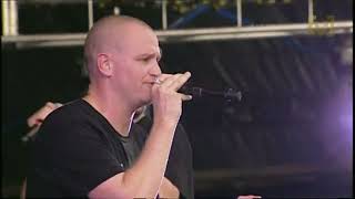 Hilltop Hoods - Chase That Feeling (Live at the Big Day Out, 2010)