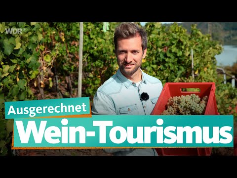 Mosel und Ahr: Ausgerechnet Wein | WDR Reisen