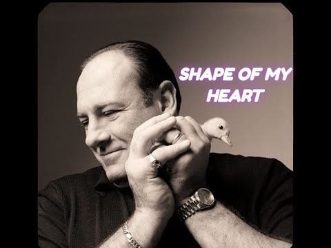 The Sopranos ║ Shape of My Heart
