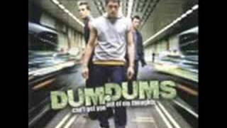 Plastic Flowers - Dumdums