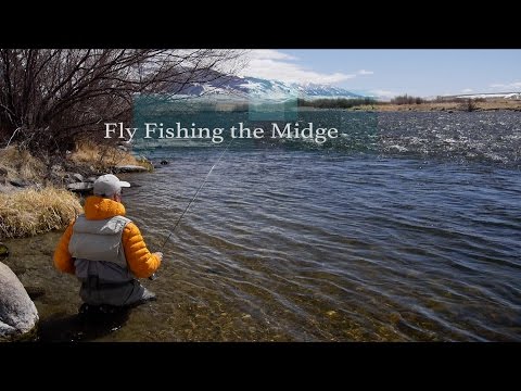 Fly Fishing the Midge