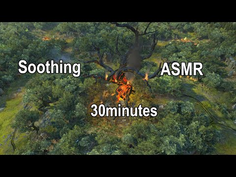 Total war warhammer: ASMR/Oak of Ages