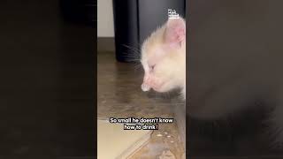 Miniature vidéo