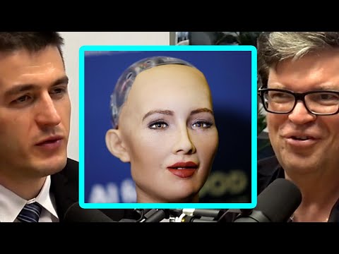 Yann LeCun: Sophia and Does AI Need a Body? | AI Podcast Clips