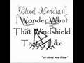 Blood Meridian - I Wonder What That Windshield Tastes Like