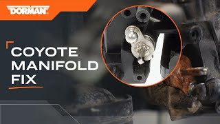 Cost-effective replacement intake manifold for Ford Coyote 5.0s | Dorman OE FIX 615-916