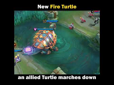 NEW Fire Turtle: Lane Pressure & Infinite Healing?