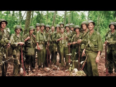 Why U.S. Marines Let Japanese Troops Get “Too Close” — And Killed 800 in One Night