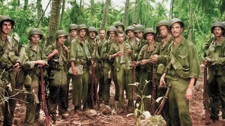 Why U.S. Marines Let Japanese Troops Get “Too Close” — And Killed 800 in One Night