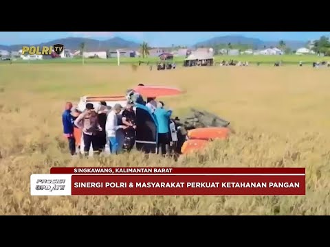 PRESISI UPDATE: KAPOLRES SINGKAWANG PANEN RAYA PADI 14/04/25 (08.30)