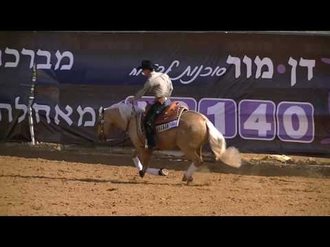 קאיה אחישר- chexolution  פיצ'וריטי 2016