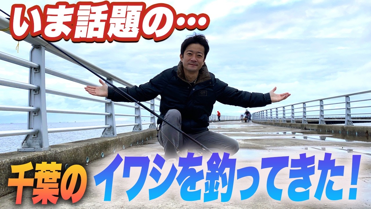 【検見川浜突堤】速報！足元サビキ釣りでイワシが釣れ始めた！時合いや棚など詳しく解説