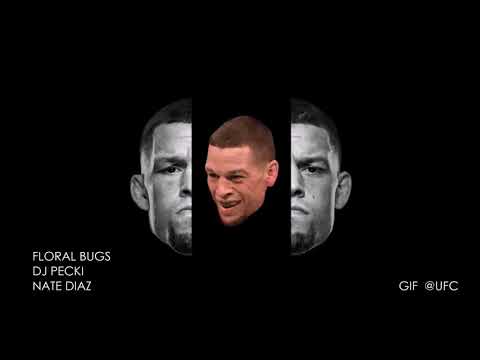 FLORAL BUGS - NATE DIAZ (PROD. DJ PECKI)