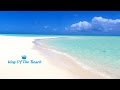Chris Rea - King of the Beach
