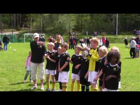 100529 Lerumsallians i Tollered