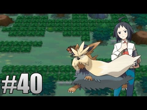 Pokemon Black/White 2 Walkthrough Part 40: Cheren in Pinwheel Forest