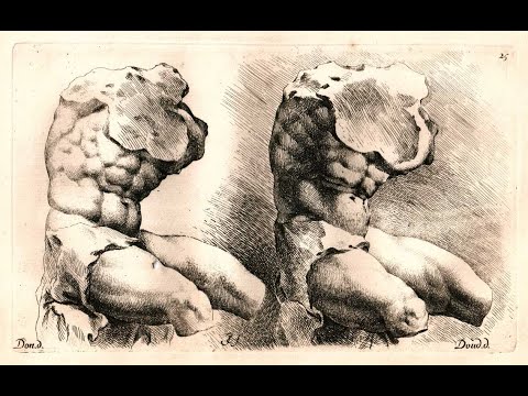 Der Torso - Von Künstlern hochgeschätzt