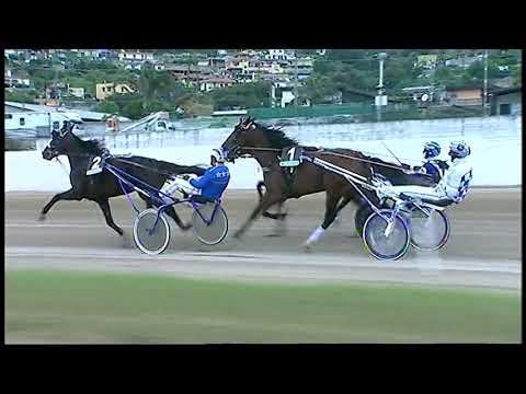 Napoli Trotto 14/05/2021 - 1ª corsa