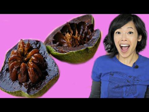 download lagu mp3 mp4 Chocolate Covered Persimmons, download lagu Chocolate Covered Persimmons gratis, unduh video klip Chocolate Covered Persimmons