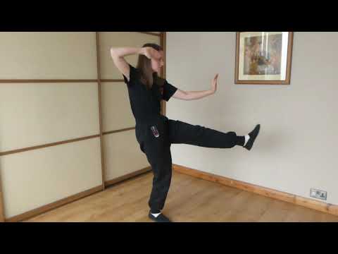 Li Style Tai Chi Form moves 55-58:The Playful Dog