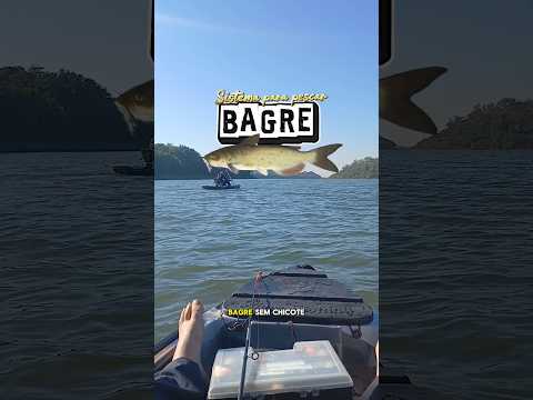 Sistema para pescar bagre. #pesca #pescaria #bagre